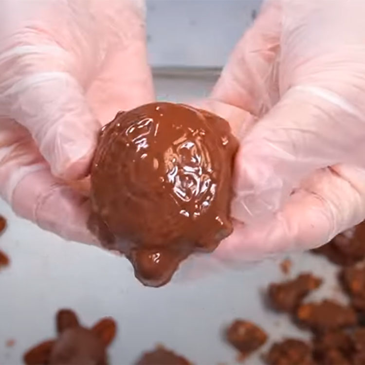 closeup of the completed turtle shaped chocolate filled with chocolate, pecans, and caramel
