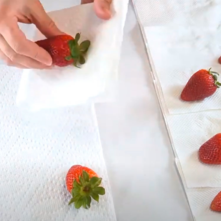 drying a strawberry with a paper towel