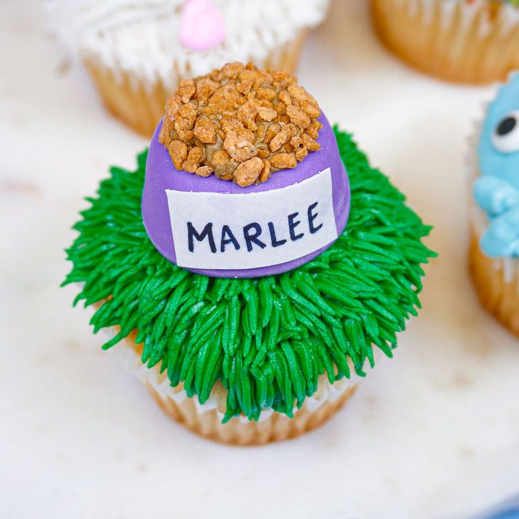 cupcake decorated to look like a dog bowl with kibble