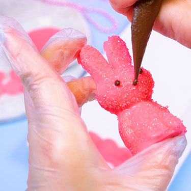 piping bunny face onto chocolate using melted chocolate in a tipless bag