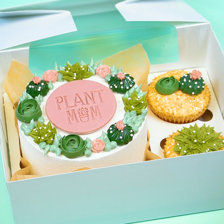 adding 2 cupcakes to bento box