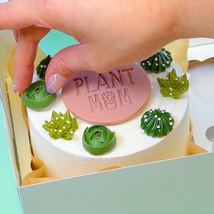 adding succulent transfers to cake