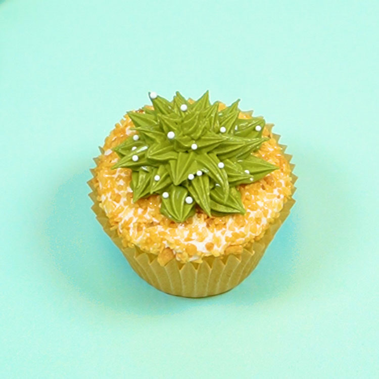 adding white sprinkles on buttercream succulent