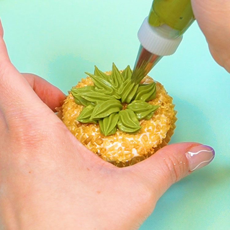 piping a succulent on a cupcake using a star tip