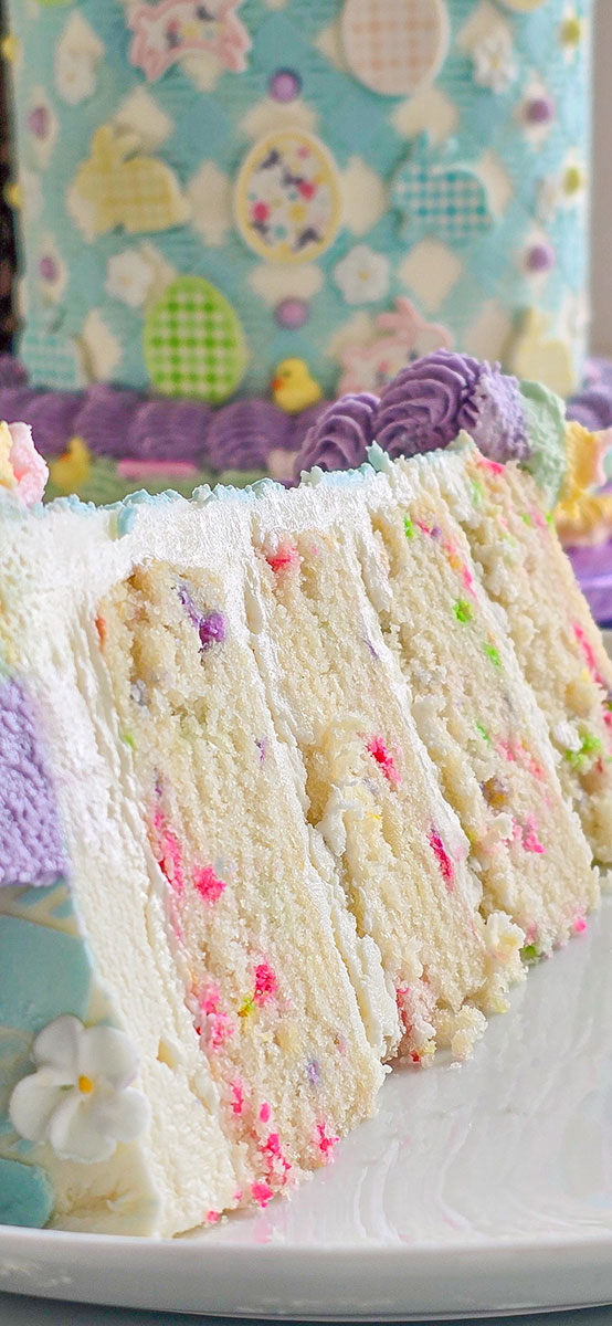 vanilla cake with sprinkles slice shot
