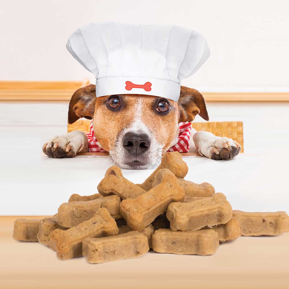 Dog Biscuit Baking Mold  Country Kitchen SweetArt