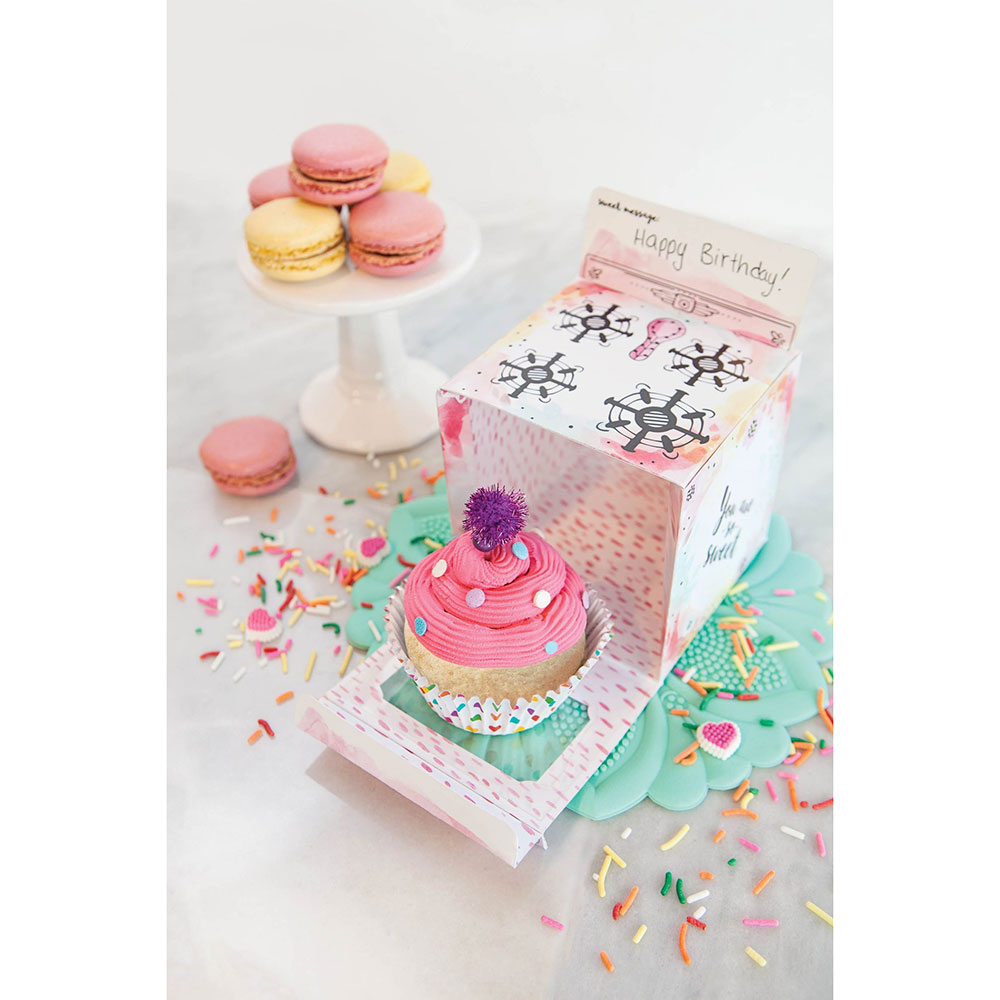 Cupcake/ Cake Carrier  Country Kitchen SweetArt