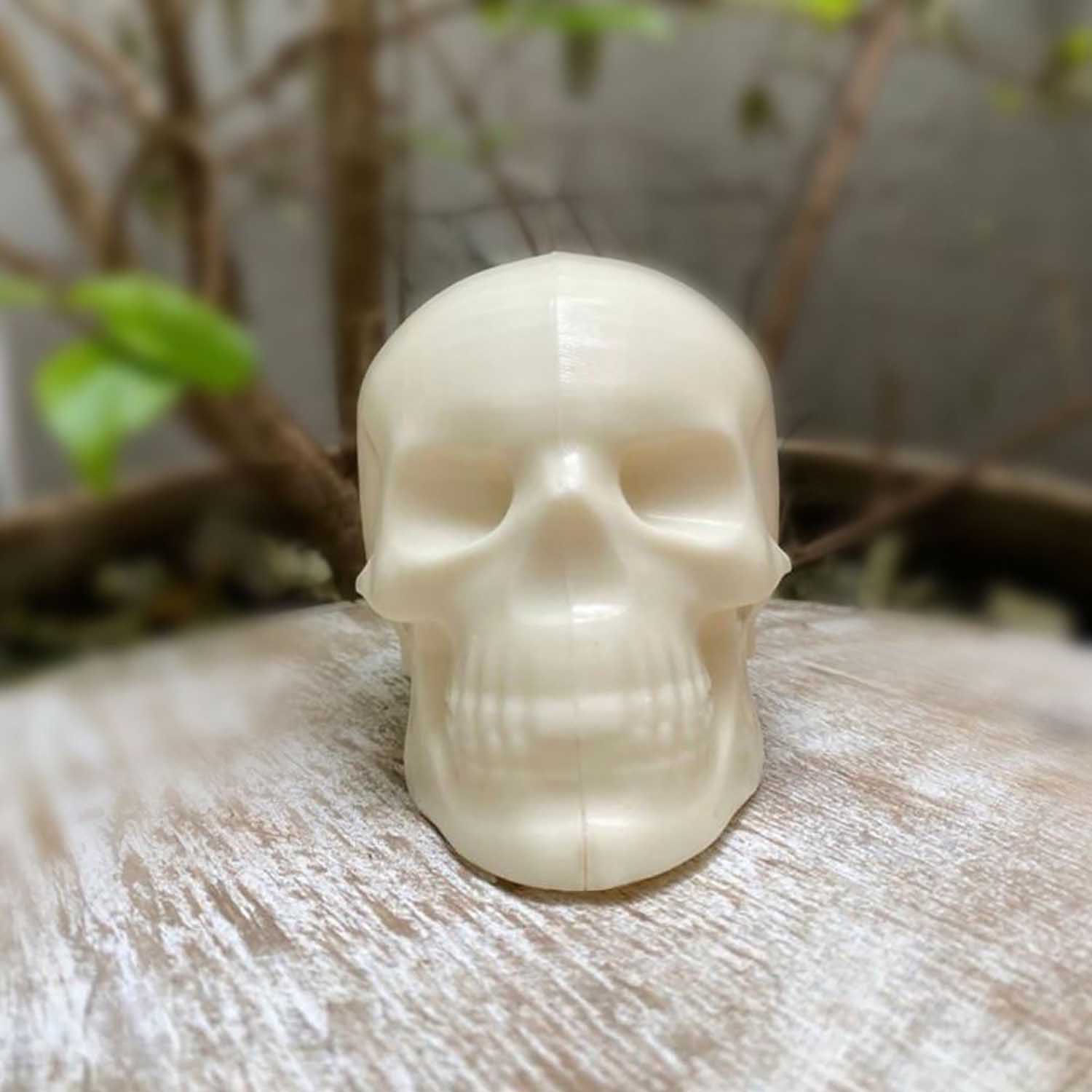 3-D Skull Chocolate Mold Part A - Confectionery House